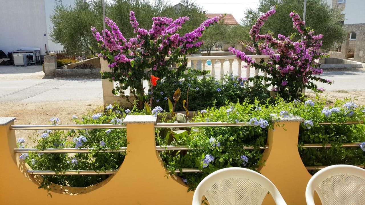 Marina Apartment Биоград на Мору Екстериор снимка